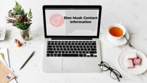 Contact Information