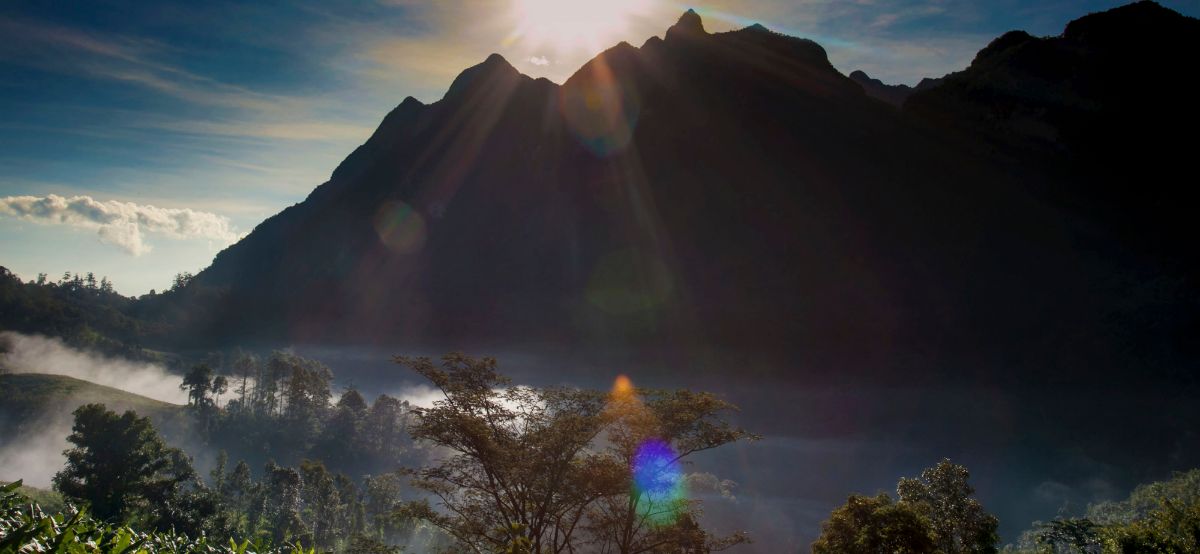  Kennesaw Mountain Festival