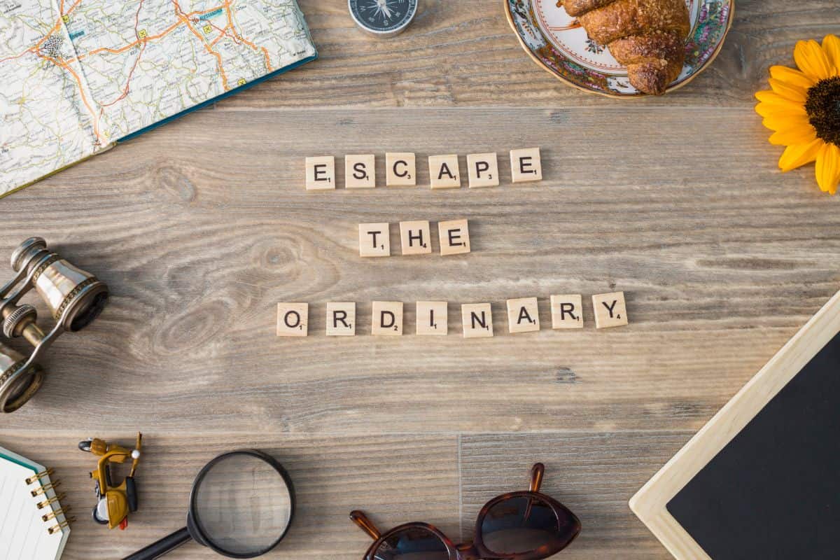 Muse of History Crossword Clue 