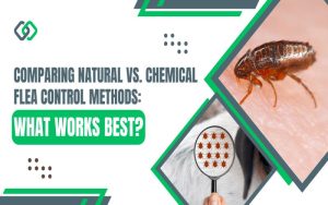Thumbnail for Natural Flea Control Tip With Potential Pheromone Signals